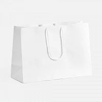 Пакет бумажный с ламинацией Lami Tote M