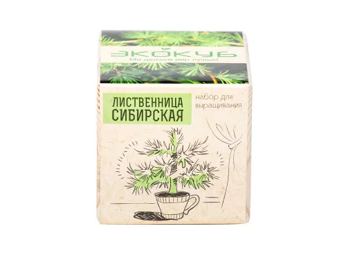 Набор для выращивания Экокуб Classic Лиственница Сибирская фото 3