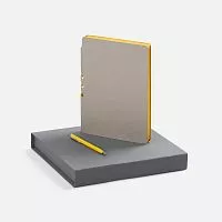 Набор Flexpen Grey, желтый