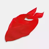 Шейный платок Bandana, красный