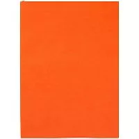 Ежедневник Flat Light, недатированный, оранжевый
