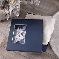 Коробка The Blue Bear