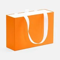Коробка Regalis, S, оранжевая
