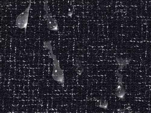 RIVACASE 7915 black чехол для ноутбука 15.6 фото 10