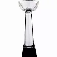 Кубок Cupture