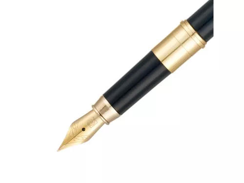 Ручка 2 в 1 шариковая и перьевая Pierre Cardin COMBI PEN, цвет - черный. Упаковка Е фото 10 Ручка 2 в 1 шариковая и перьевая Pierre Cardin COMBI PEN, цвет - черный. Упаковка Е фото 10