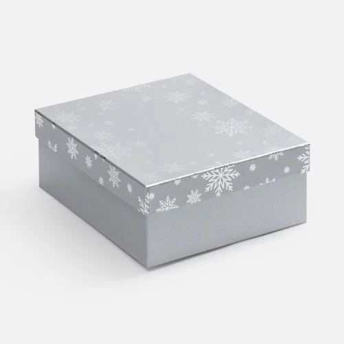 Коробка Wintry, серебристая