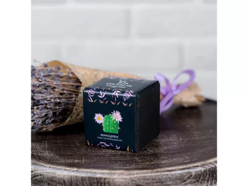 Набор для выращивания Small village cube Эхиноцереус фото 3 Набор для выращивания Small village cube Эхиноцереус фото 3