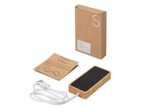 USB хаб с подсветкой лого Reedia S5, 3*USB, 1*Type C, бамбук, черный фото 9