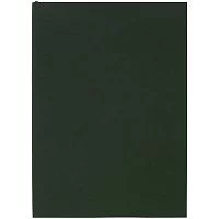 Ежедневник Flat Light, недатированный, зеленый