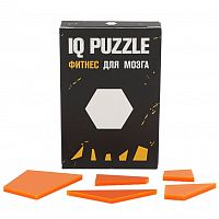 Головоломка IQ Puzzle Figures, шестиугольник