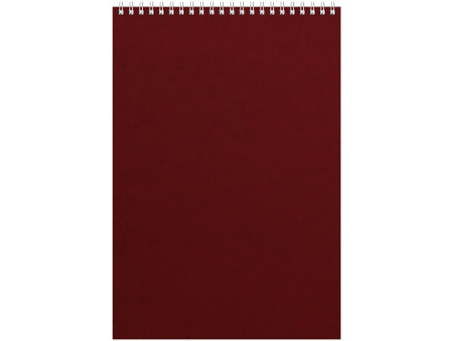 Бизнес - блокнот Альт А4 (198 х 285 мм) Office 60 л., бордовый