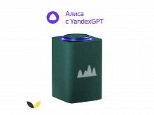 Умная колонка ЯНДЕКС Станция Макс с Алисой, с Zigbee, 65 Вт, цвет: зеленый (YNDX-00053Z)
